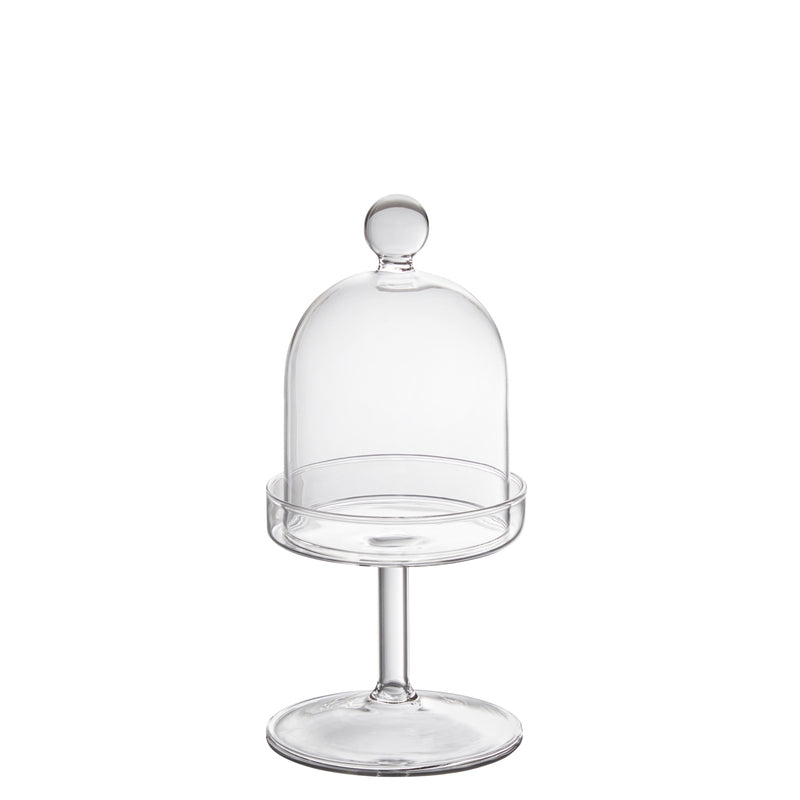 Clear Cloche on Stand 3.1