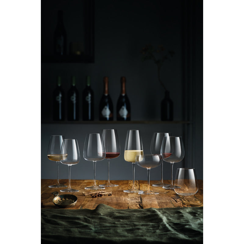 Stemless 3.6" dia. x 3.9" 15.3 oz I Meravigliosi by Luigi Bormioli