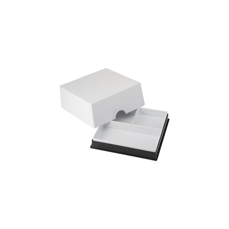 Bento Box Kit 10.0