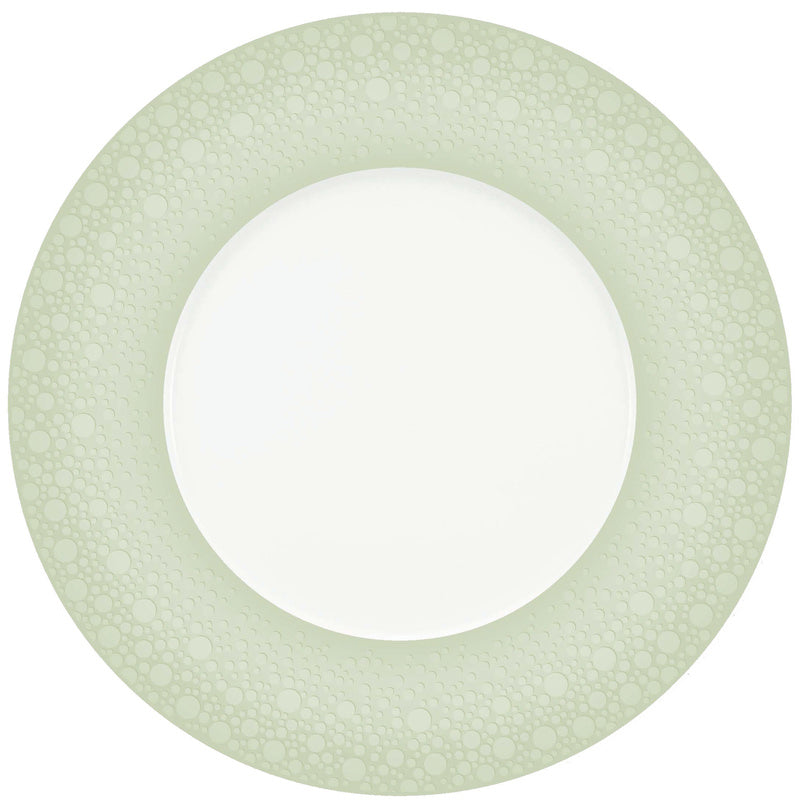 Sage Green Flat Plate 12.1