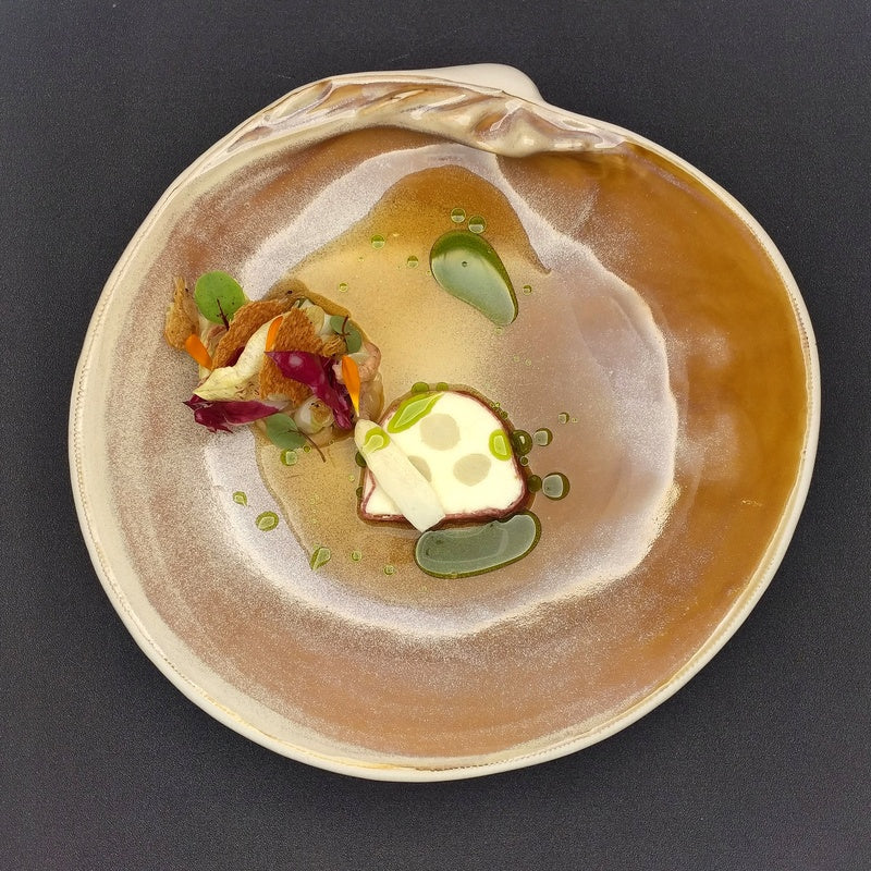 Shell Plate 11.1" dia. X Premium by Studio Raw