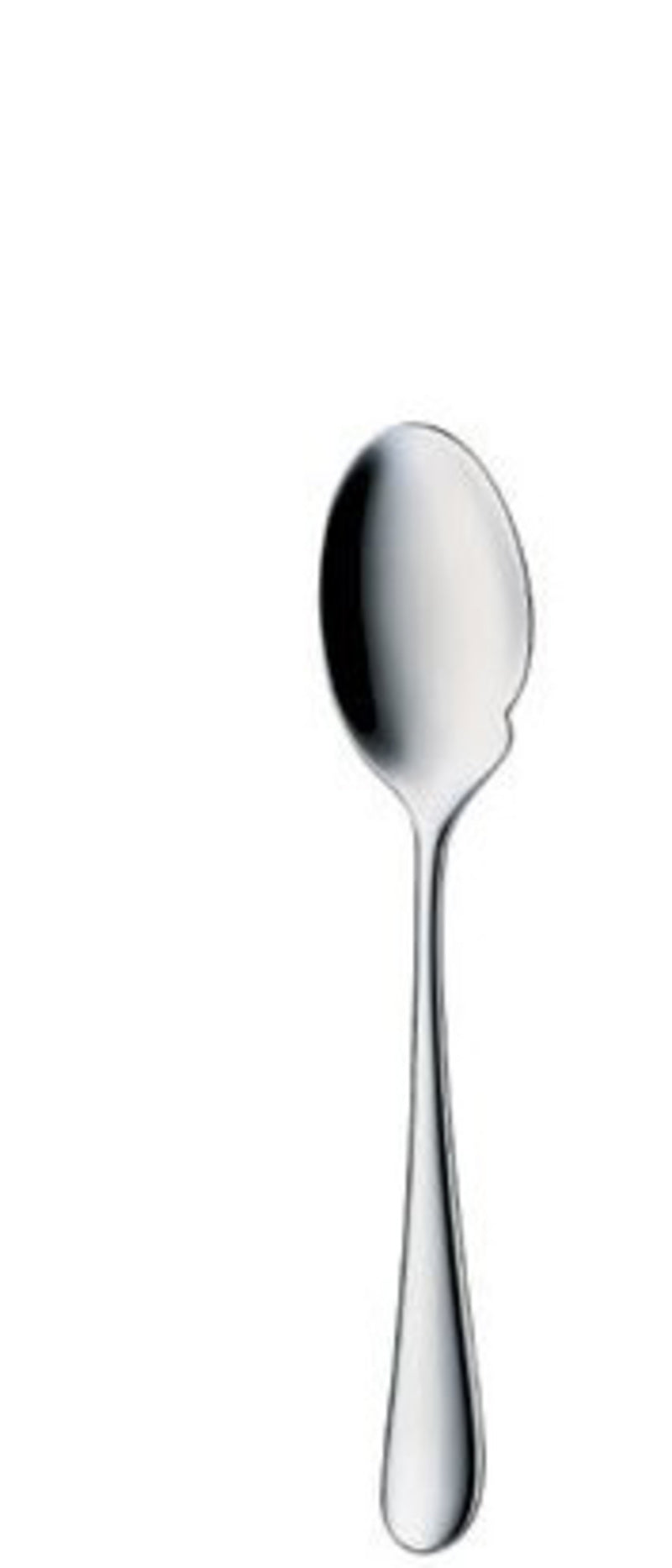 Gourmet Spoon 7.5