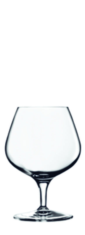 Cognac 3.7" dia. x 5.4" 13.3 oz Napoleon by Luigi Bormioli