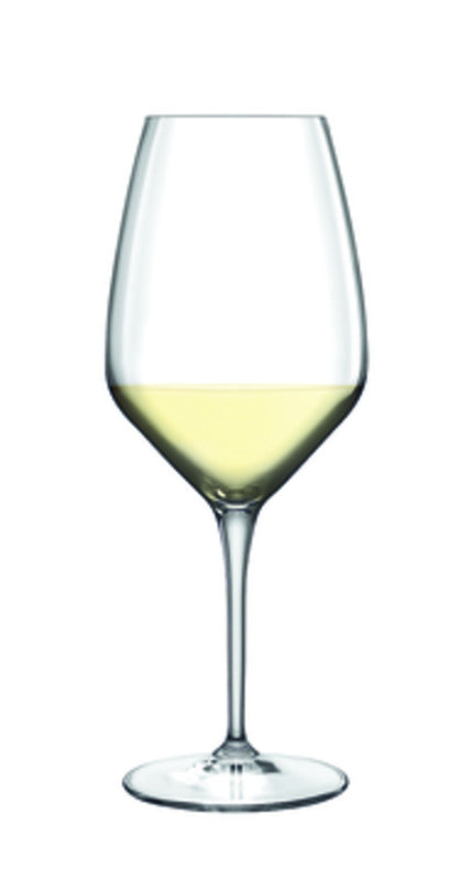 Sauvignon 3.1" dia. x 8" 11.8 oz Atelier by Luigi Bormioli