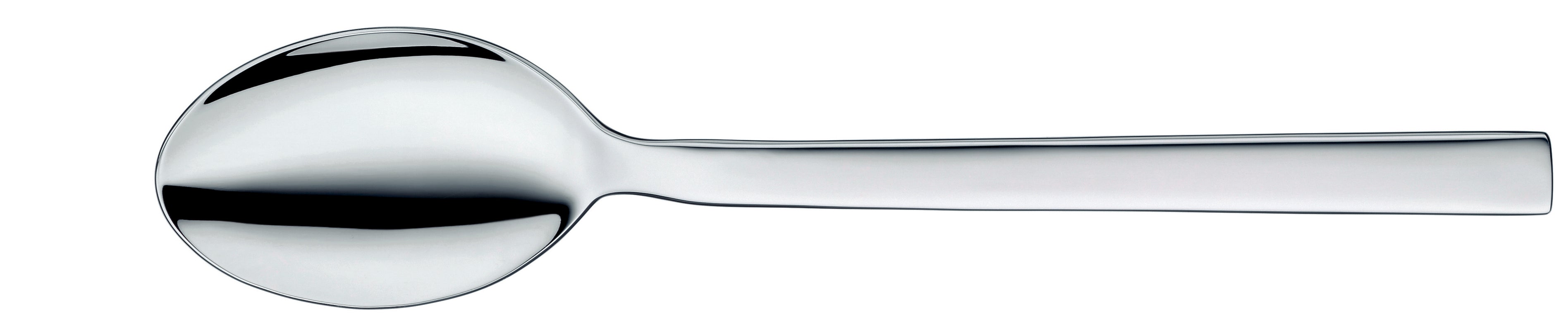 Table Spoon 8.5