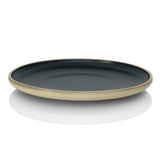 Lagoon Dark Flat Plate 10.2