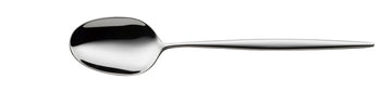 Table Spoon 8.3" Enia by WMF
