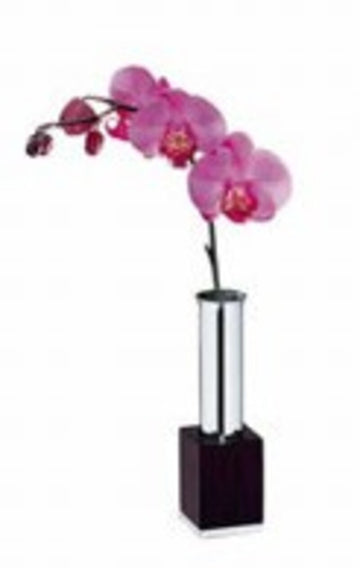 Flower Vase, Small 1" dia. x 6.3" Pure Exclusiv by WMF