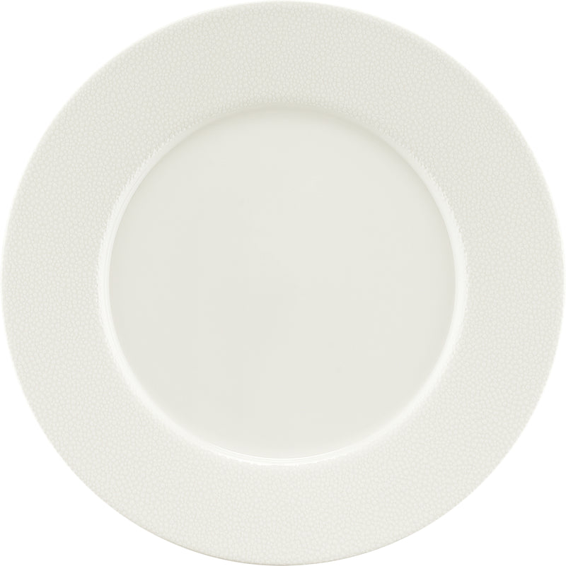 Flat Plate with Rim 8.8