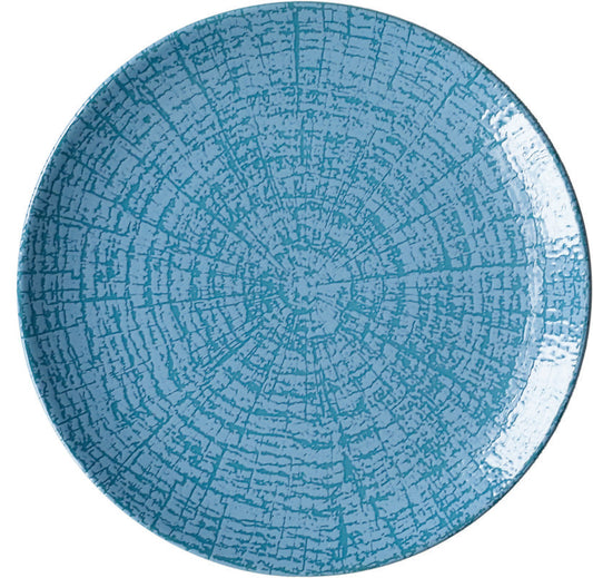 Flat Coupe Plate 6.6" dia. x 0.7" Arbor by Bauscher