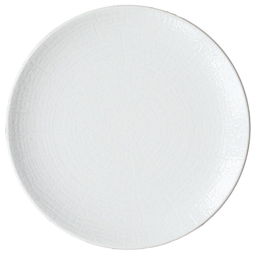 Flat Coupe Plate 9" dia. x 0.8" Arbor by Bauscher