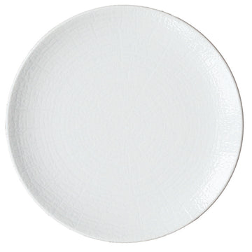 Flat Coupe Plate 11.8" dia. x 0.9" Arbor by Bauscher