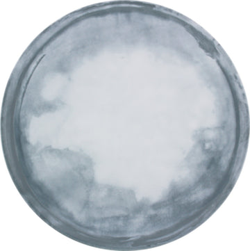 Flat Coupe Plate 6.7" dia. Bauscher Smart by Bauscher