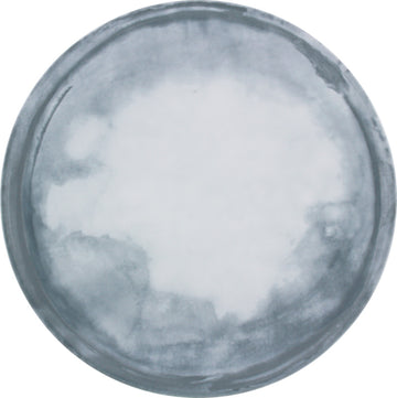 Flat Coupe Plate 10.2" dia. Bauscher Smart by Bauscher