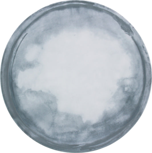 Coast Flat Coupe Plate 11" dia. Bauscher Smart by Bauscher