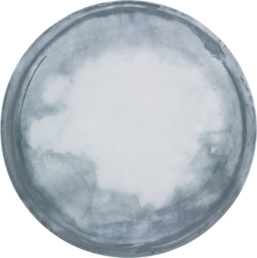 Coast Flat Coupe Plate 11" dia. Bauscher Smart by Bauscher