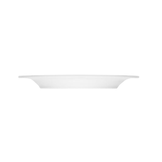 Salmon Flat Plate 9.2" dia. Dialog by Bauscher
