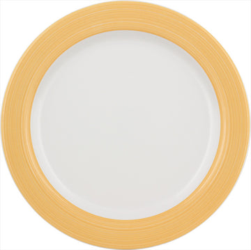 Sun Flat Plate 9" dia. Dimension by Bauscher