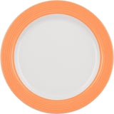 Orange Flat Plate with Rim 9