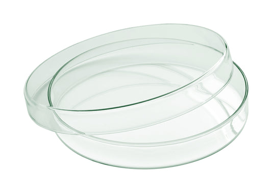 Mini Glass Bowl 3.1" dia. Glass by Playground