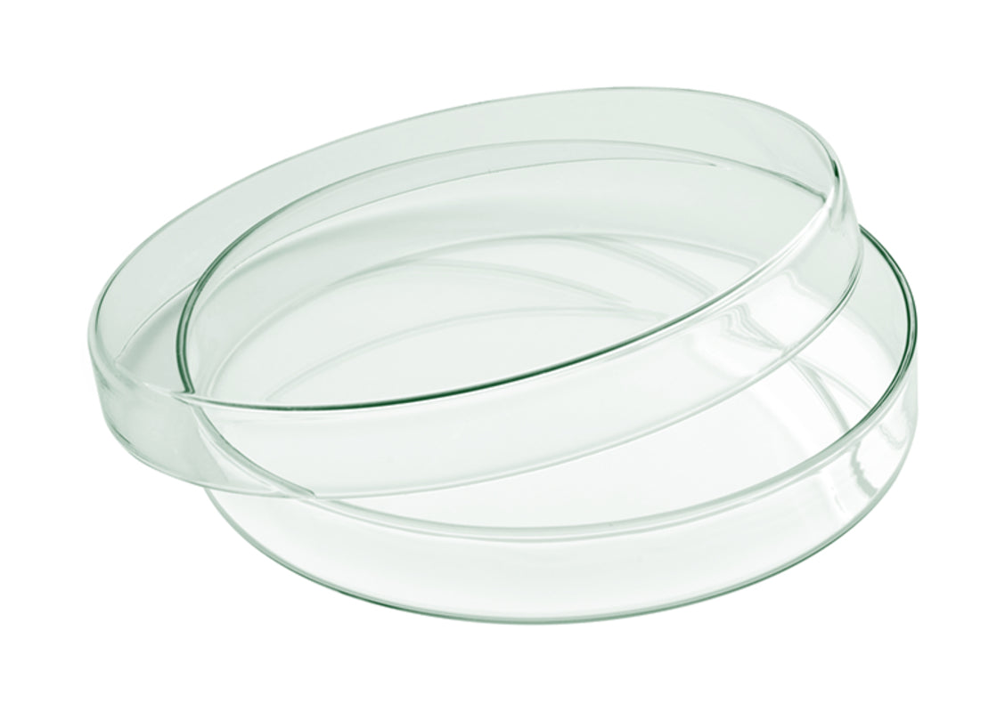 Mini Glass Bowl 7.1