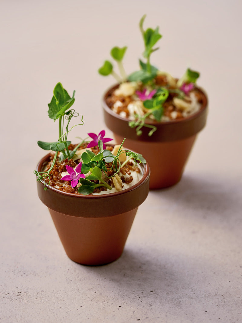 Terracotta Mini Pot 2.6