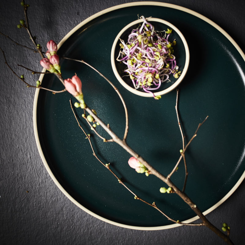 Lagoon Dark Coupe Bowl 8.3