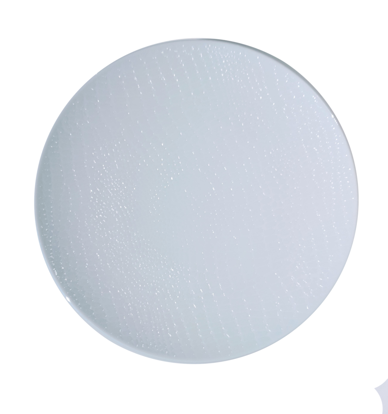 White Coupe Plate 8
