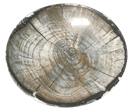 Wood Grain Deep Coupe Plate 9.4" Wood Grain by Bauscher