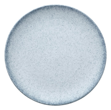 Blush Light Grey Coupe Plate 10.3" dia. Ombre by Bauscher