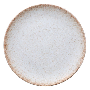 Blush Burlywood Plate flat Coupe 11" dia. Ombre by Bauscher