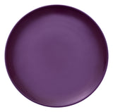 Nuance Orchid Plate flat Coupe 11