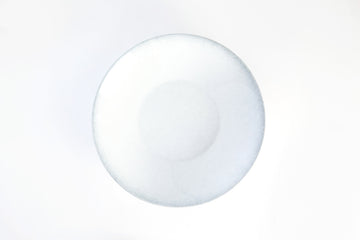 Blush Light Grey Plate deep Coupe 11.8" dia. Ombre by Bauscher