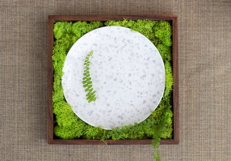 Flat Coupe Plate 11.4" dia. x 1" Terrazzo by Bauscher